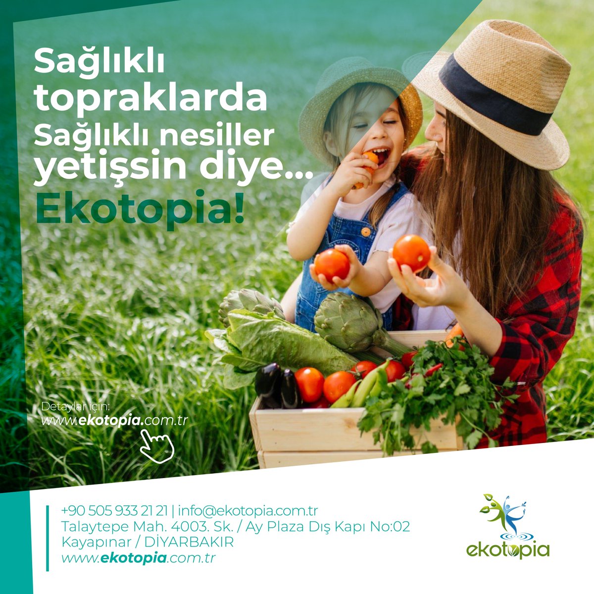 Ekotopia_AS's tweet photo. Sağlıklı topraklarda sağlıklı nesiller yetişsin diye... EKOTOPİA..

🌐 https://t.co/zUoxne9BA8
☎️ +90 505 933 21 21

#gübre
#doğalgübre
#tarım
#toprak
#akıllıgübre
#ekolojiktarım
#ekonomiktarım
#granülgübre https://t.co/XS5EdUlEF7
