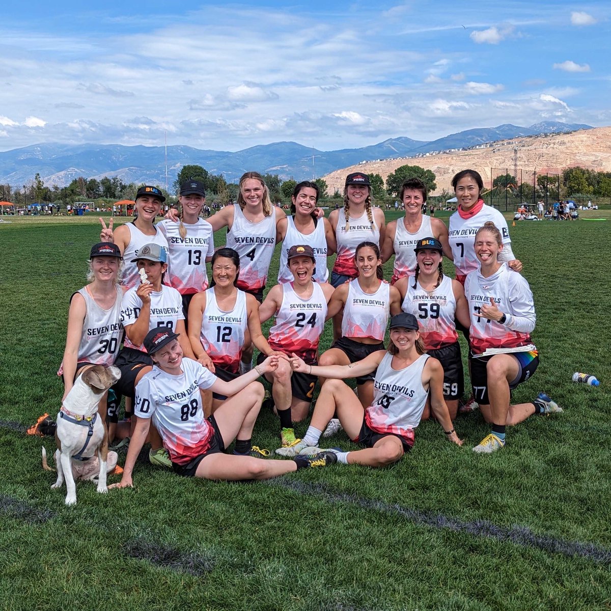 Seven Devils Ultimate tweet media