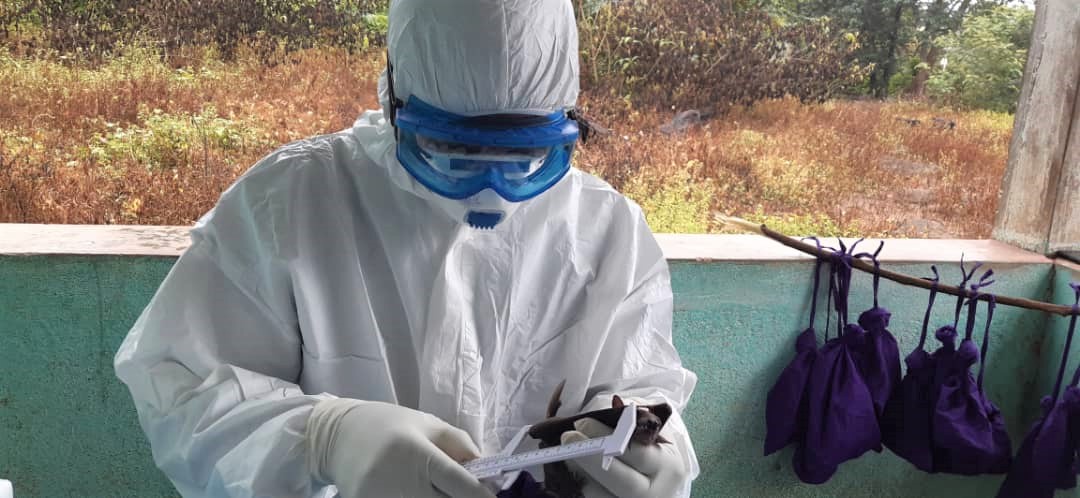 FAO Guinée tweet media