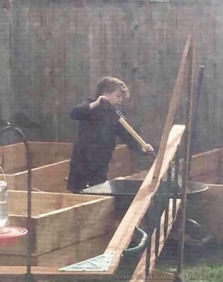 JoseFerreiraj94's tweet photo. Cuando le pedí a mi hijo de 11 años que me ayudara a descargar la tierra de nuestra pequeña camioneta en las nuevas jardineras de su madre, su reacción fue típica.

"Ummmm... estoy ocupado en este momento", dijo.

Estaba jugando Roblock en la computadora portátil de la familia, vestía pantalones de chándal y una camiseta vieja, estaba recostado en el sofá, con los pies sobre la mesa de café.

"No, no lo eres", le dije.

Hubo pelea, gemidos, excusas... lo de siempre.

Momentos después, estábamos al lado de una carretilla que paleaba tierra. Me miró con los ojos planos, la capucha levantada, los hombros caídos y dijo: "¿Por qué tenemos que hacer esto?"

Lo pensé por un momento, porque lo admito, era una pregunta válida. A ninguno de nosotros nos gustaban tanto las flores o las verduras, ni ninguna de las cosas que se cultivarían en esas jardineras. Pero a mi esposa, Mel, le encanta la jardinería.
Pensé, y él esperó, y finalmente dije: “Cuando amas a alguien, lo sirves”.

Continué diciéndole que quiero que crezca para ser el tipo de hombre que sirve a su familia, amigos y comunidad.

“Esto”, dije mientras señalaba la tierra, las cajas de jardín que construí el fin de semana anterior, la carretilla y la pala, y el primero de muchos camiones llenos de tierra que descargaríamos en las próximas semanas, “es lo que parece el amor. .”
No le gustó mi respuesta. Pude verlo en la forma en que recogió su pala de mala gana.
Terminamos de descargar la tierra. Al día siguiente, mientras estaba en el trabajo, y los niños y Mel tenían el día libre porque estaba entre trimestres, Mel me envió esta foto. Mel recogió otra carga de tierra y antes de que tuviera la oportunidad de descargarla, Tristan comenzó a trabajar voluntariamente. Cuando ella le preguntó “por qué”, él se encogió de hombros y dijo: “Porque te amo”.

Nunca había estado más orgulloso de mi hijo".

Síguenos en TEES
