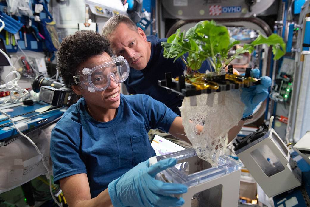 Astronaut Jessica Watkins examines the XROOTS system- a special tool used to grow plants in space using hydroponic and aeroponic techniques on exposed roots! #astrobotany 🌱🚀
📸: NASA, June 2022