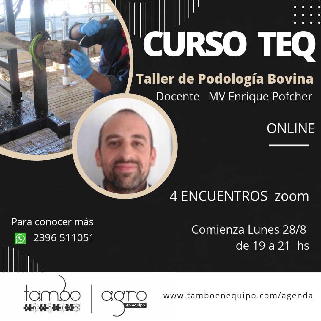 Tambo en Equipo (@tamboenequipo) / Posts / X