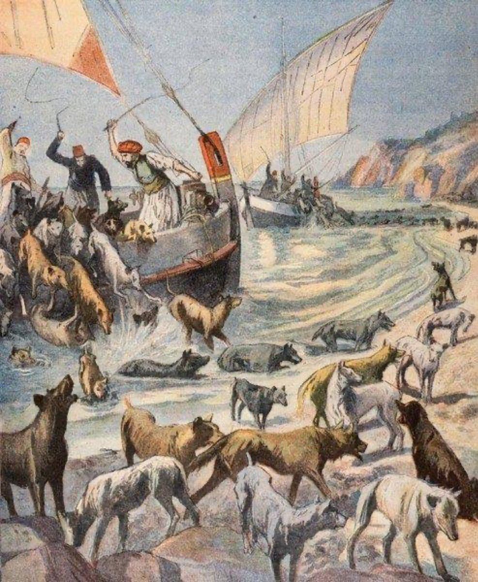 ankarapatiliky's tweet photo. Sokak hayvanlarını toplama bahanesiyle yapılan her eziyetin bir de azabı olacak.
İşte sen en çok o azaptan kork. https://t.co/v5Zw7ww1Nm