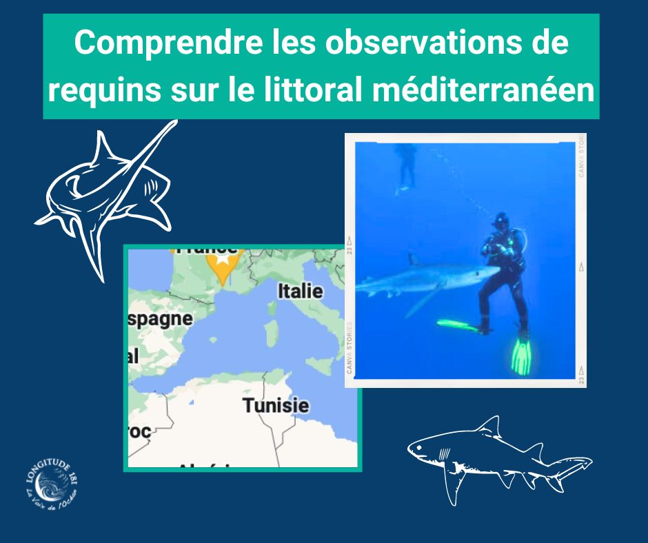 Longitude181 tweet media