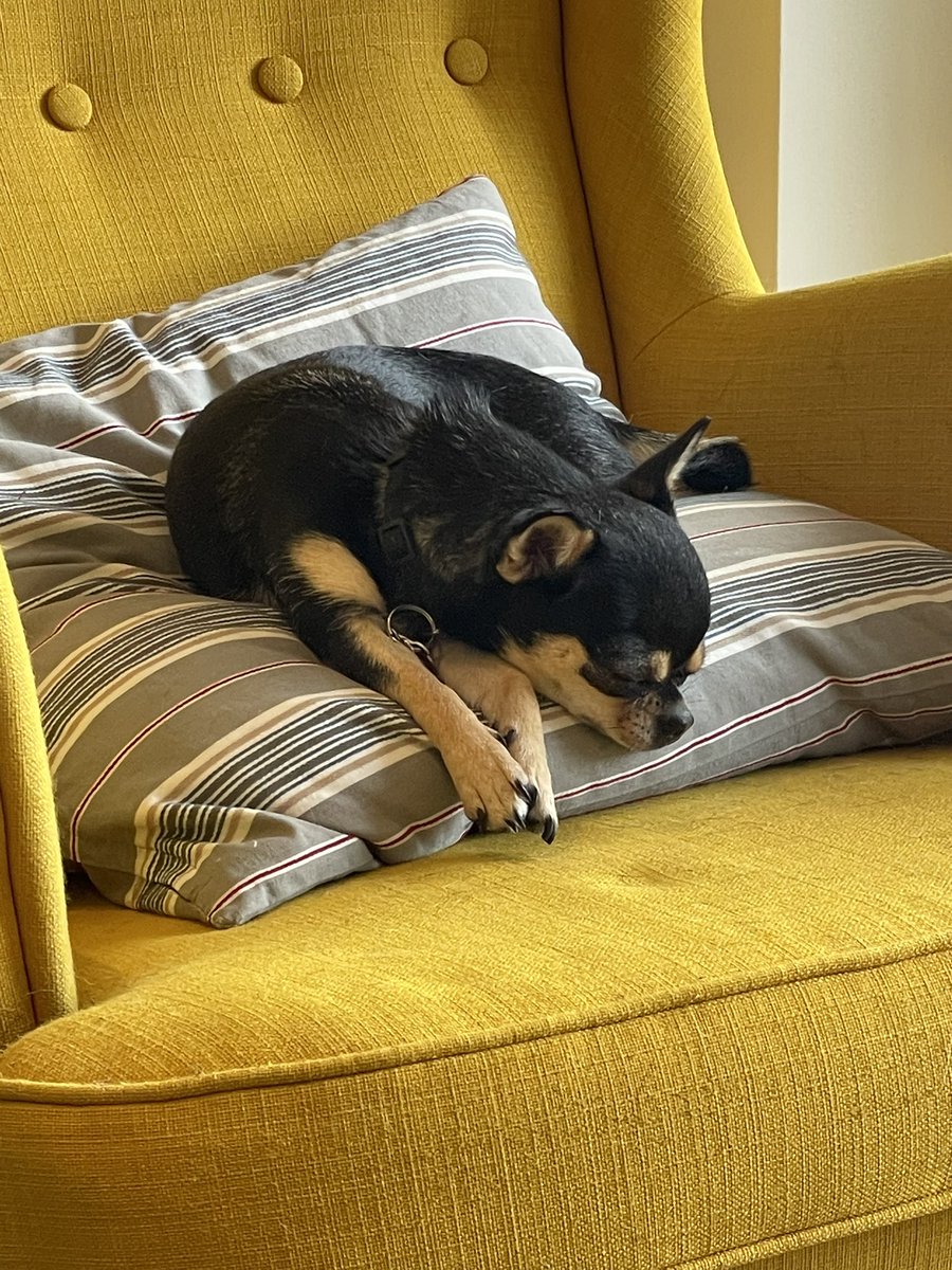 ChloeStratton98's tweet image. Monday feelings ❤️