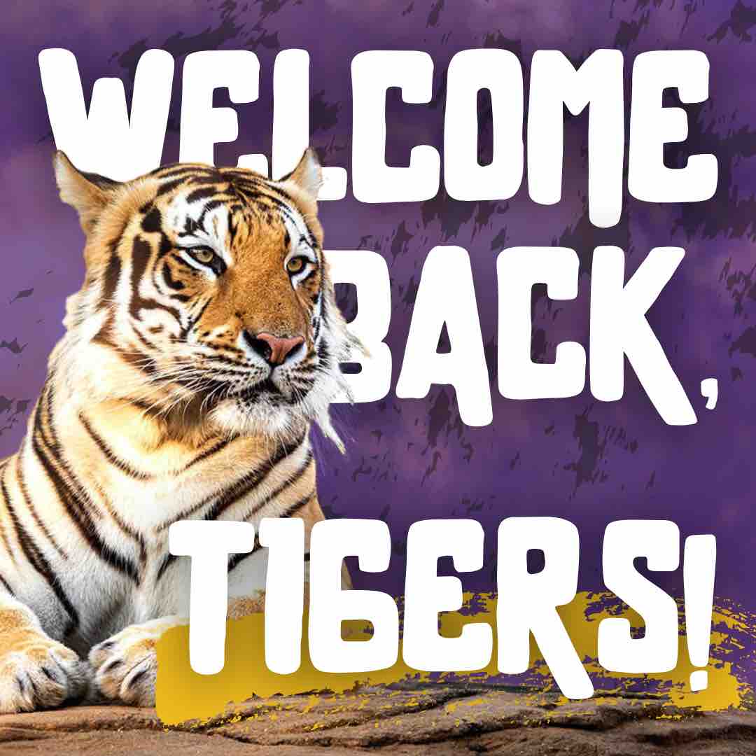 PRSSA at LSU 🐯 tweet media