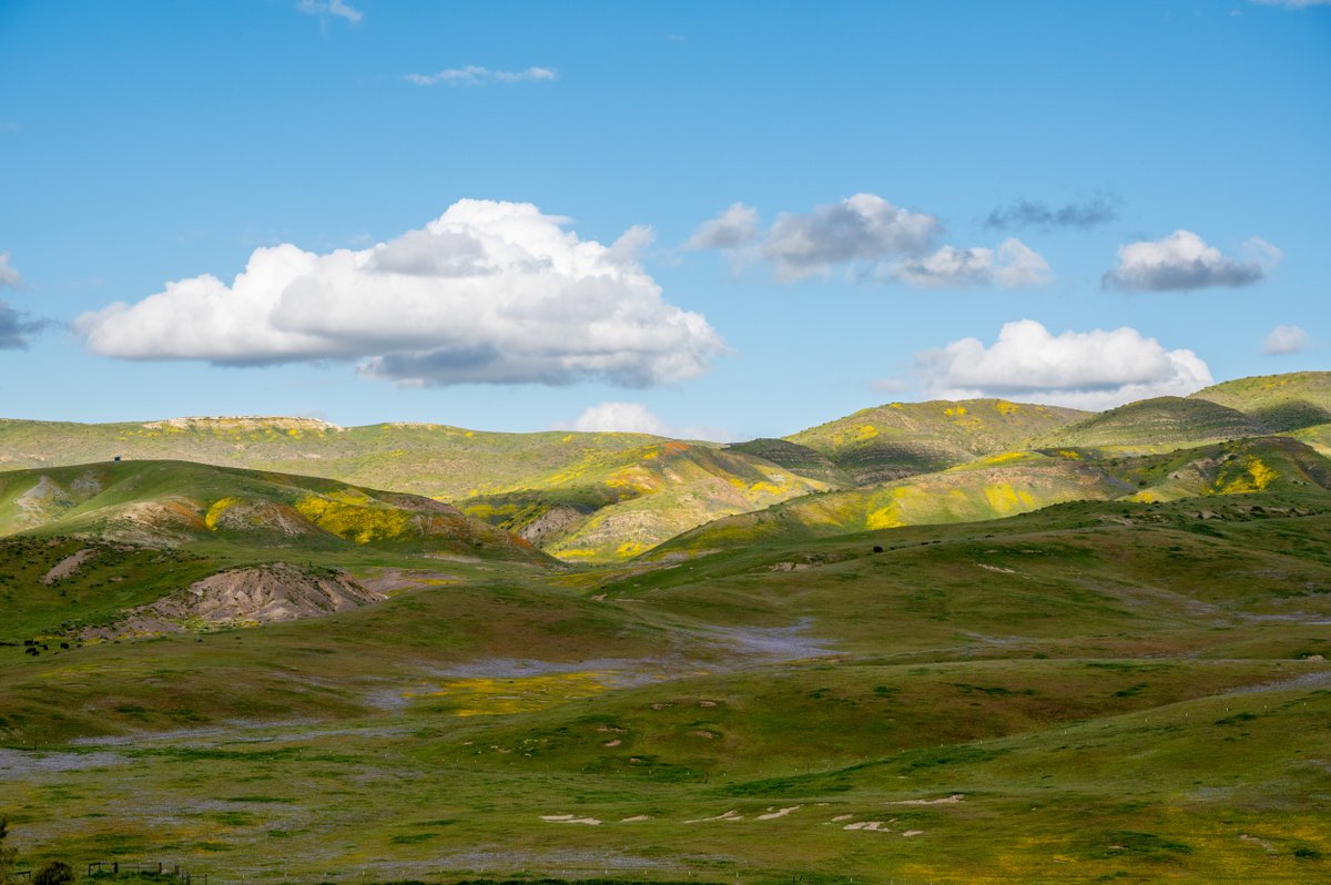 Save Mount Diablo tweet media