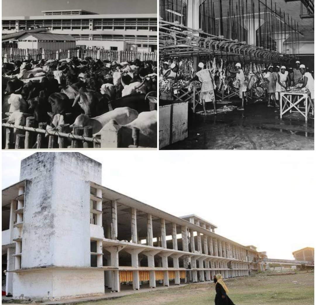 HISTORIA FUPI YA TANGANYIKA PACKERS, KAWE KWA MWAMPOSA

Kati ya mwaka 1947 mpaka 1975 wakoloni waingereza walikuwa ni wamiliki wa kiwanda kilichokuwa kinaitwa TANGANYIKA PACKERS LTD (TPL) kiliajiri wafanyakazi zaidi ya 1200 na walikuwa wanafanya kazi kwa shift na...✍️👇