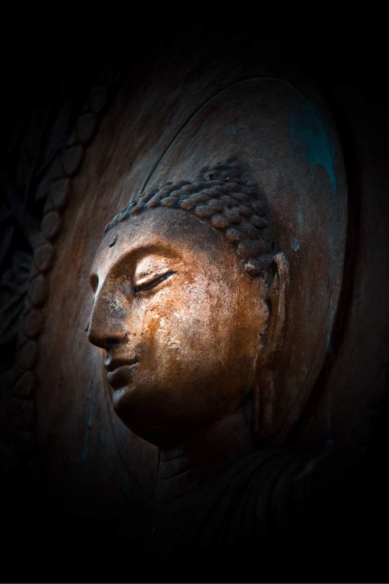 “Positive thoughts generate positive feelings and attract positive life experiences.”