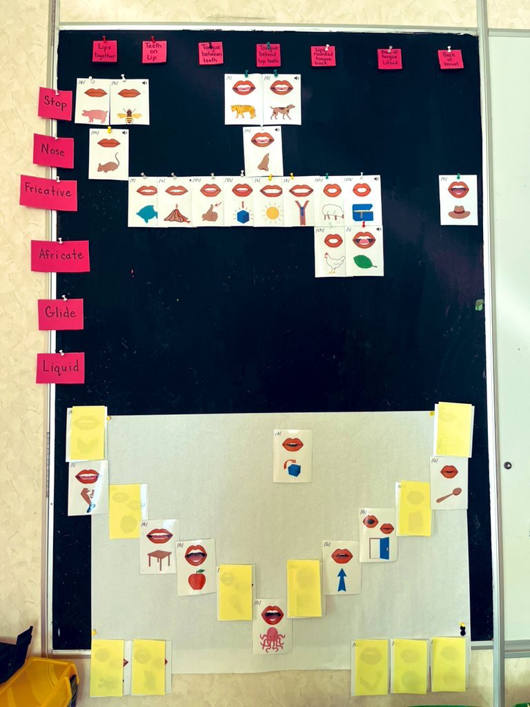 Starting to assemble my wall…#mcsgophers #grade1