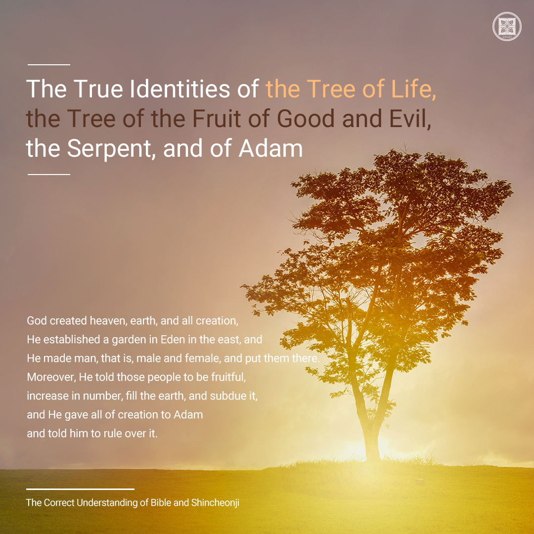 scjchurch_en's tweet photo. The True Identities of the Tree of Life, the #Tree_of_Life #Tree_of_the_Fruit_of_Good_and_Evil, the Serpent, and of Adam

✅https://t.co/otwFiP6zTF

#The_Correct_Understanding_of_Bible_and_Shincheonji 
#Eden #Adam
#Thanks #Faith #Belief #Gospel #Bible #Pray 
#ShincheonjiChurch https://t.co/IRND2FjHxA
