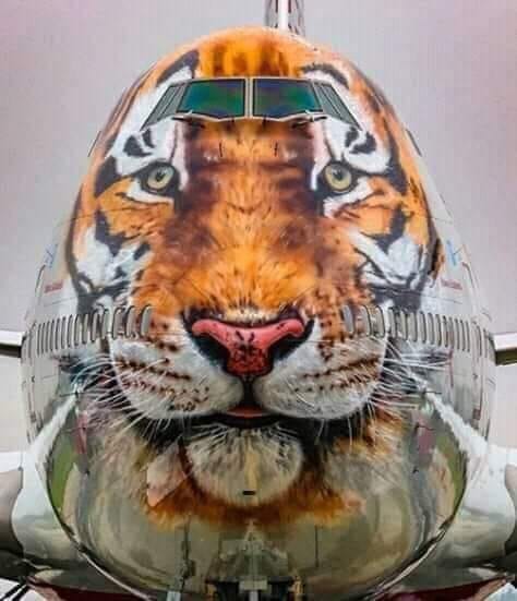 GreenHemUSA's tweet image. Plane ready for takeoff 🐯✈️
... into the new work week!

Tangram Media Inc.  
☎️ 910.603.4954  
🌎 tangrammedia.com 

#tangrammedia #tangrammedianc #webdesign #webdevelopment @TangramMedia
