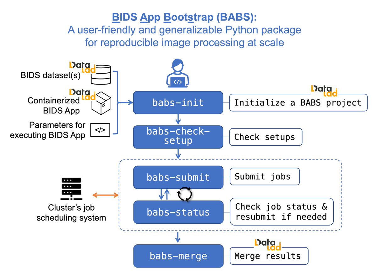 Feel it’s challenging to analyze a large neuroimaging dataset in a reproducible way? Check out our latest preprint of BABS! BABS is a user-friendly and generalizable Python package📦for reproducible image processing at scale. doi.org/10.1101/2023.0… 🧵 1/n