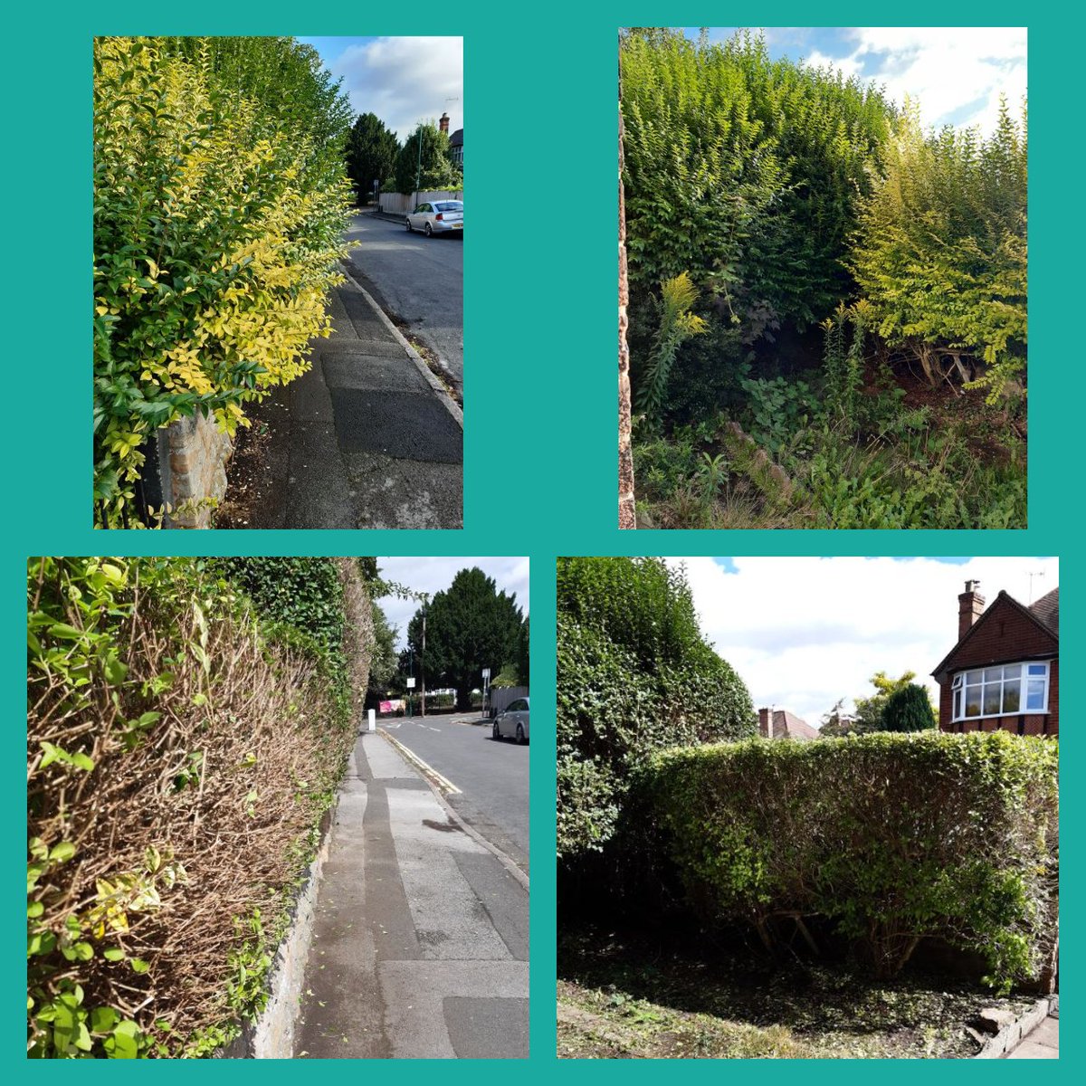 #CPO4648 went above and beyond by helping a senior citizen tame their unruly garden. 

The transformation is truly incredible! 🌿

This act not only strengthens community bonds but also brings newfound joy to the resident. #CommunityFirst