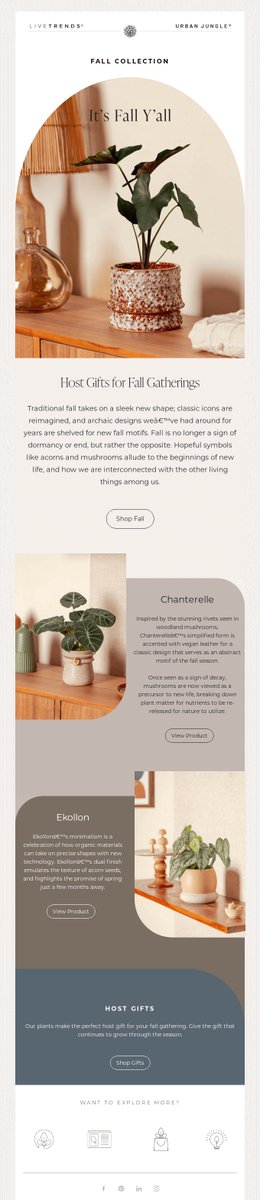 designmodo tweet media