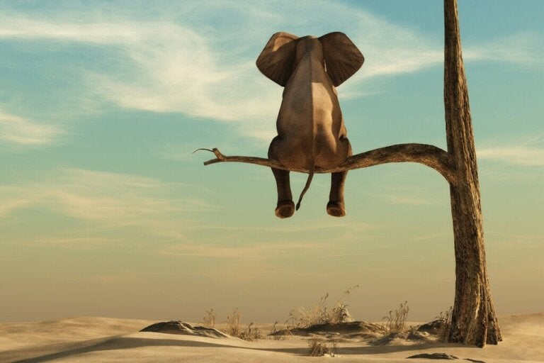 Kalau ingin liar, jangan berorganisasi/ jangan masuk parpol.

Jika yakin lutut tak bergetar, pijakan kuat, punya gagasan &amp; pemikiran besar tentang Indonesia, dirikanlah Parpol atau organisasi sendiri, "JANGAN MENUMPANG".
.
.
Berani mengambil resiko, tapi buta manajemen resiko,