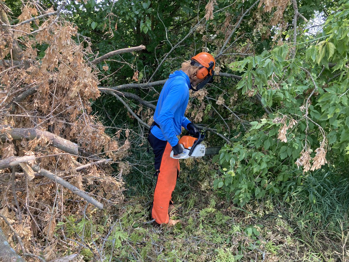 Aquinas Lacrosse tweet media