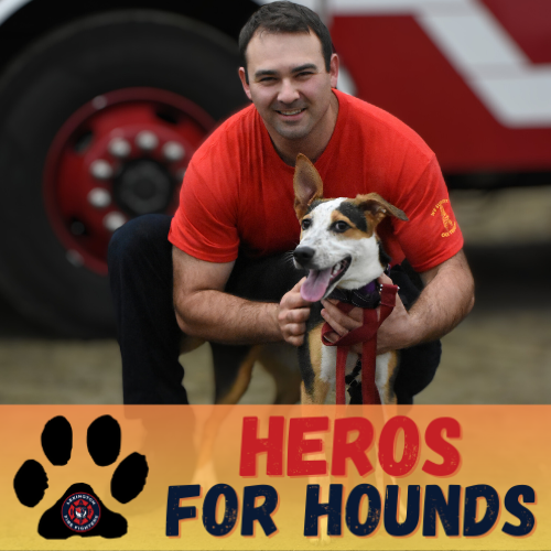 LexFire_L1491's tweet photo. 🐶🌟 Monday's adoptable furry friend is Mabel! 🌟🐶
@MspcaAngell @TownOfLexMA @DogsofInstagram @THE_PFFM @IAFFofficial
#MeetMabelMonday
#AdoptAPet
#PuppyLove 🐕❤️🏡
#yourlexingtonfirefighters
#lexingtonma
#mspca
#NevinsFarm https://t.co/mWrjidX6wJ