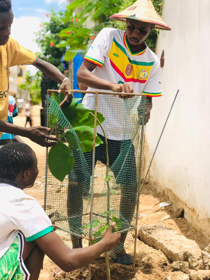 Félicitations aux membres de l’Association pour le Développement et la promotion de la citoyenneté du quartier de cité Niakh . Une planète verte est bien possible!🌍✌️🇸🇳 #Senegal #ClimateActionNow #ClimateCrisis