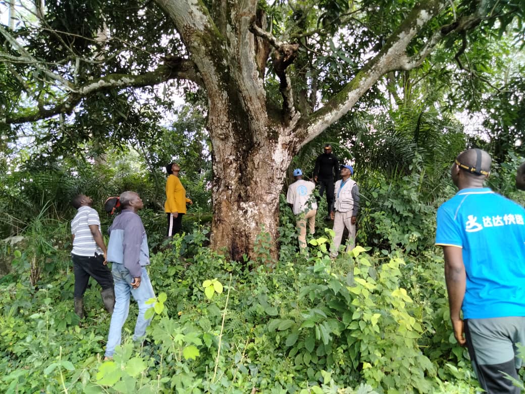 FAO Guinée tweet media