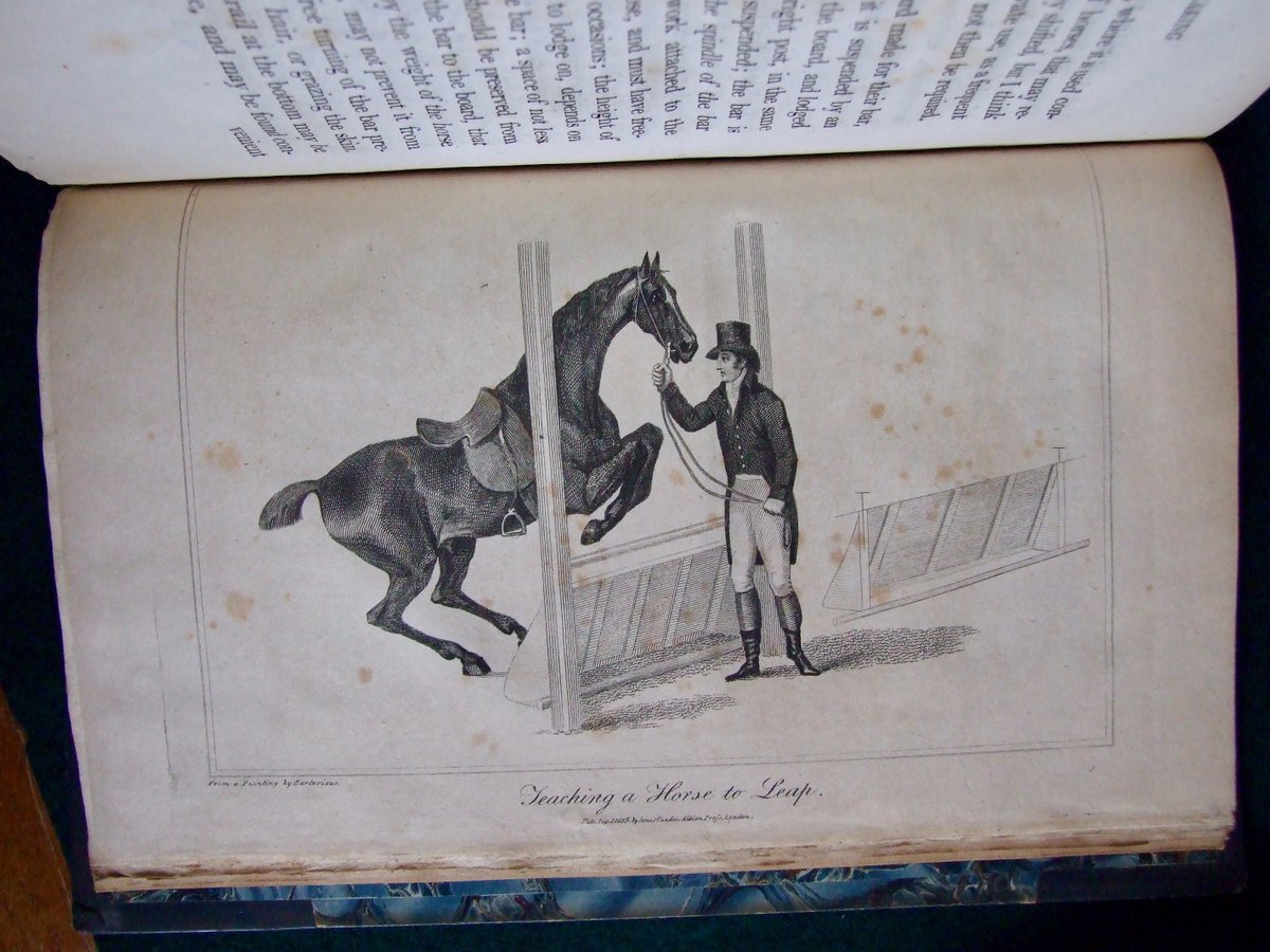BookfinderG's tweet photo. Lovely set of books about Horsemanship from 1805

#horses #horseriding #antiquarianbooks
https://t.co/EBsElsTkay https://t.co/ldUFibEtj6