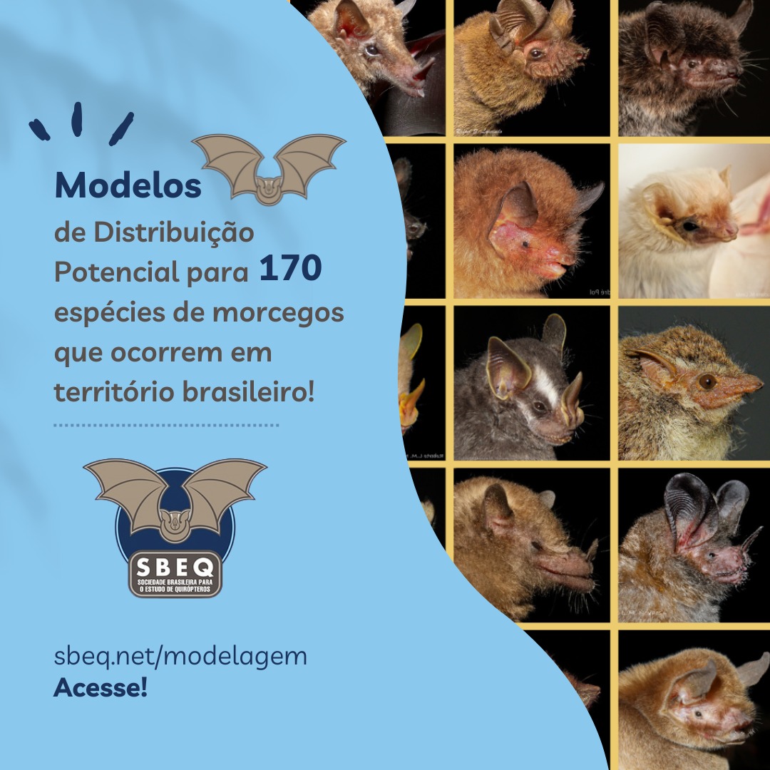 sbeq's tweet photo. 🦇✨ Anúncio Especial: Novo Projeto da SBEQ! ✨🦇

Disponibilizamos modelos de distribuição potencial para 170 espécies de morcegos brasileiros! Os resultados deste projeto liderado por Karina B. do Amaral e sua equipe estão em https://t.co/ngiRKRhLPA https://t.co/feXmEGJGof
