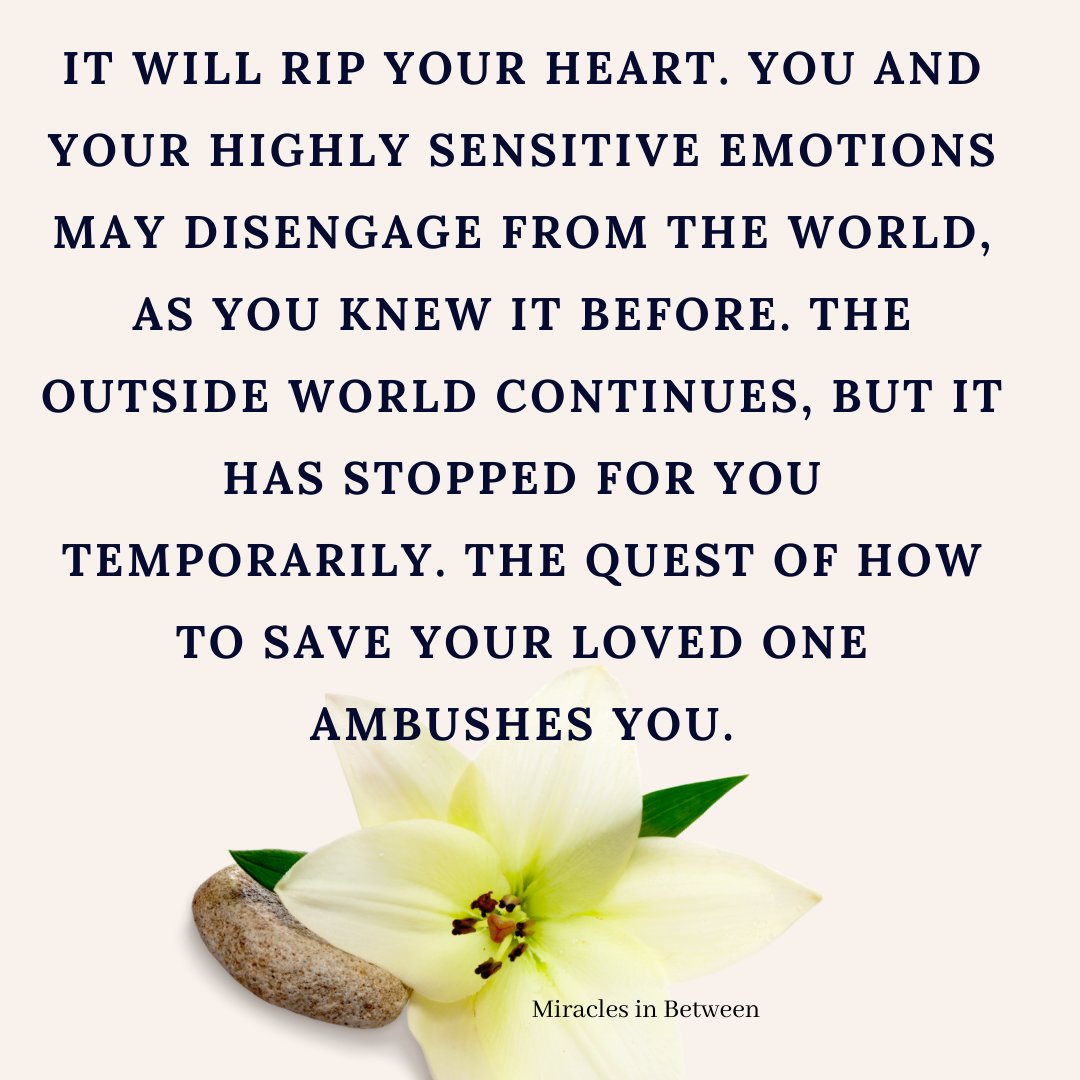 💔 The world freezes in disbelief when a loved one's diagnosis turns terminal. 🌟 In the midst of your shock, you decide to take on the role of caregiver, which calls for inexhaustible stamina, empathy, and selflessness. See below.  #CaregiverJourney