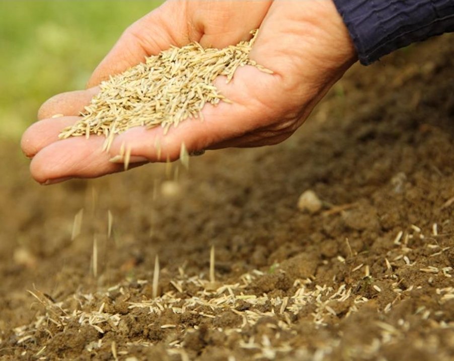 Une cagnotte pour le golf ?
Je donne !
#JeSuisGreen