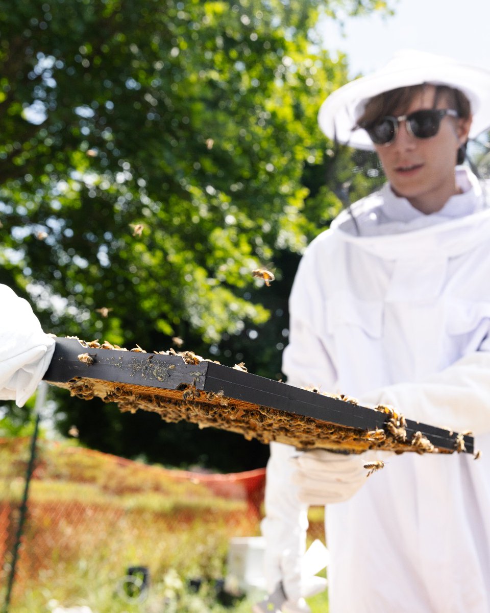 Northern Michigan University tweet media