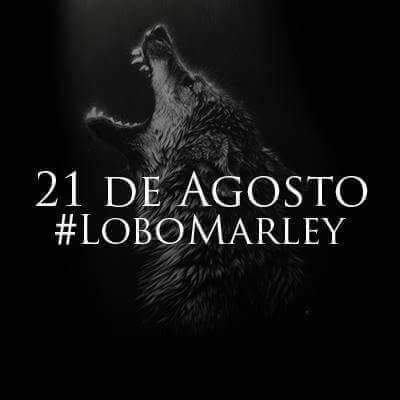 DOMINGUEZLM's tweet photo. En 2012 un 21 de agosto,por mandato del director del Parque Nacional de Picos de Europa,se asesinó de varios balazos,al lobo Marley.como respuesta a tanta crueldad,fundé desde ese momento @Lobo_Marley un movimiento ciudadano comprometido con el lobo y con la defensa de la vida. https://t.co/qeVF6ZyEhr