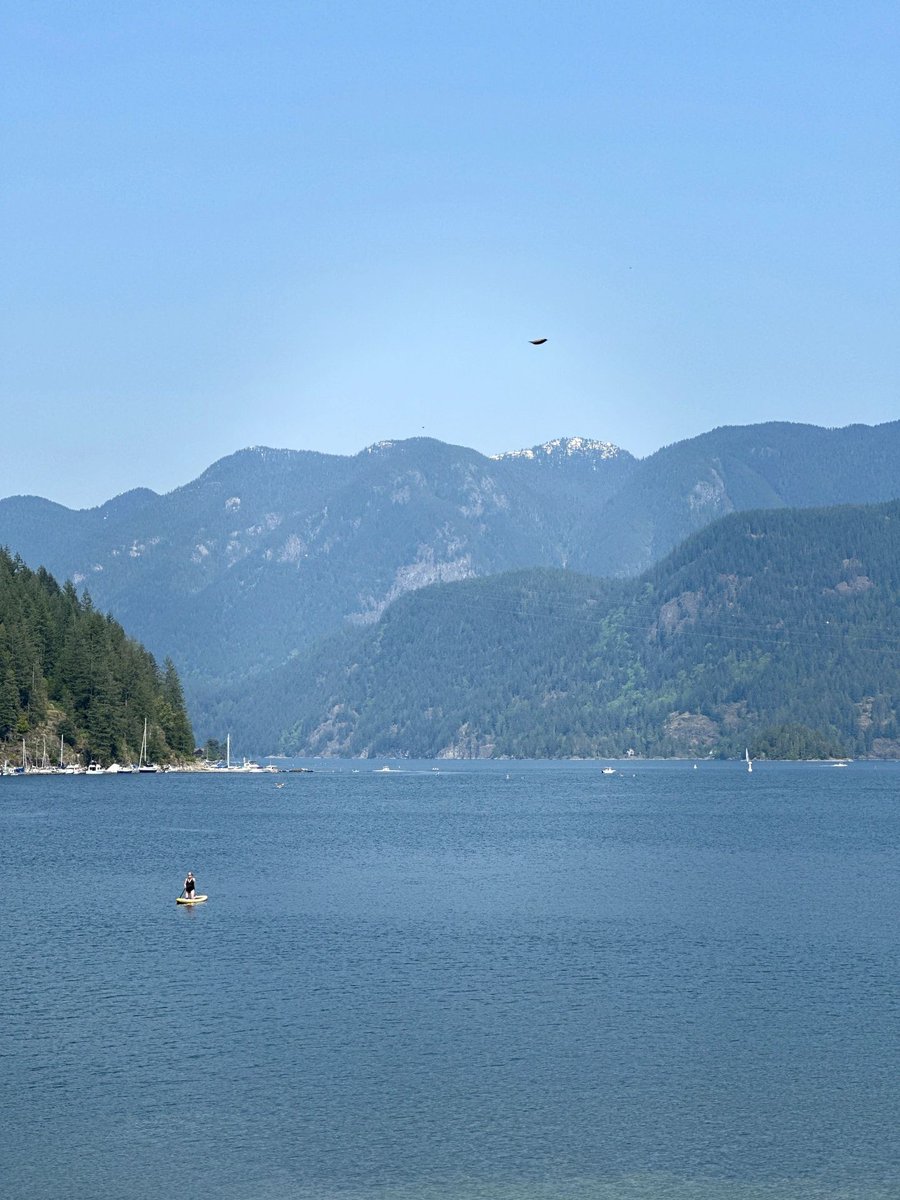 dasiesanchez's tweet photo. Thinking about finding an easy hiking trail around the perimeter, Come to Deep Cove😎 https://t.co/9W7Ybly29P