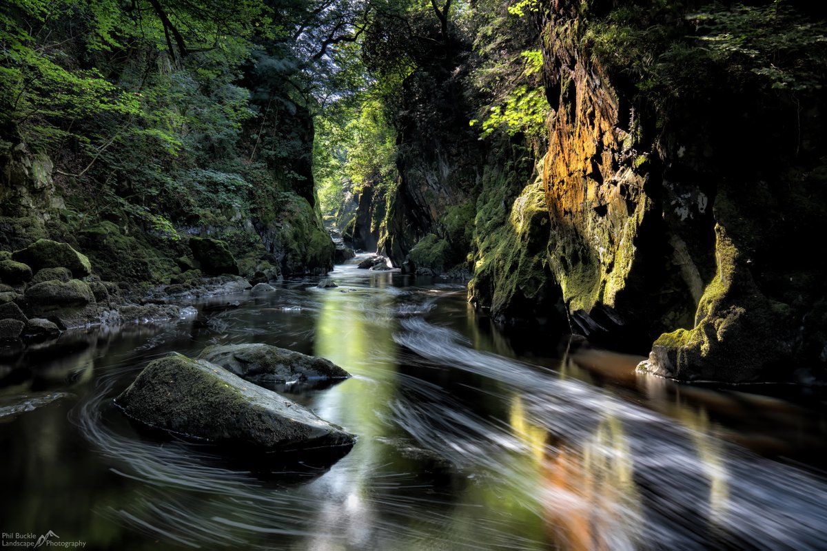 Phil Buckle tweet media