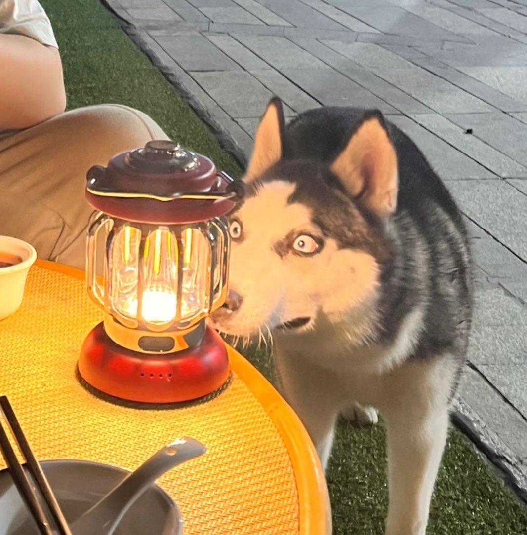 jaketropolis's tweet photo. can i come over and stare at you like this https://t.co/Ra3W3f0CeD