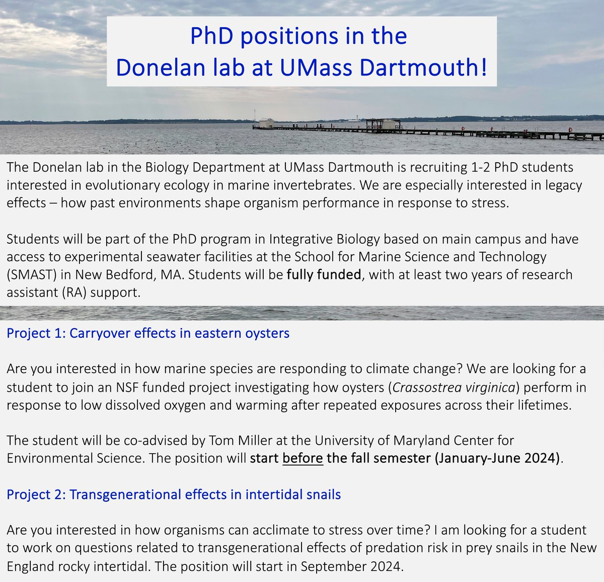 Are you interested in how marine species respond to stress over multiple generations or life stages?🦪🐌🌊 I'm looking for PhD students to join my lab @UMassD in Spring and Fall 2024!! More info here: sarahdonelanphd.weebly.com/opportunities.…