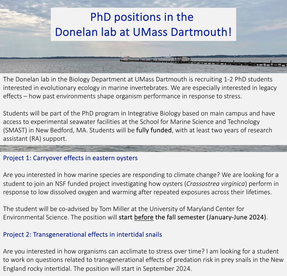 Sarah Donelan (@sarahcdonelan) on Twitter photo Are you interested in how marine species respond to stress over multiple generations or life stages?🦪🐌🌊
I'm looking for PhD students to join my lab <a href="/UMassD/">UMass Dartmouth</a> in Spring and Fall 2024!!
More info here: sarahdonelanphd.weebly.com/opportunities.… Are you interested in how marine species respond to stress over multiple generations or life stages?🦪🐌🌊
I'm looking for PhD students to join my lab <a href="/UMassD/">UMass Dartmouth</a> in Spring and Fall 2024!!
More info here: sarahdonelanphd.weebly.com/opportunities.…