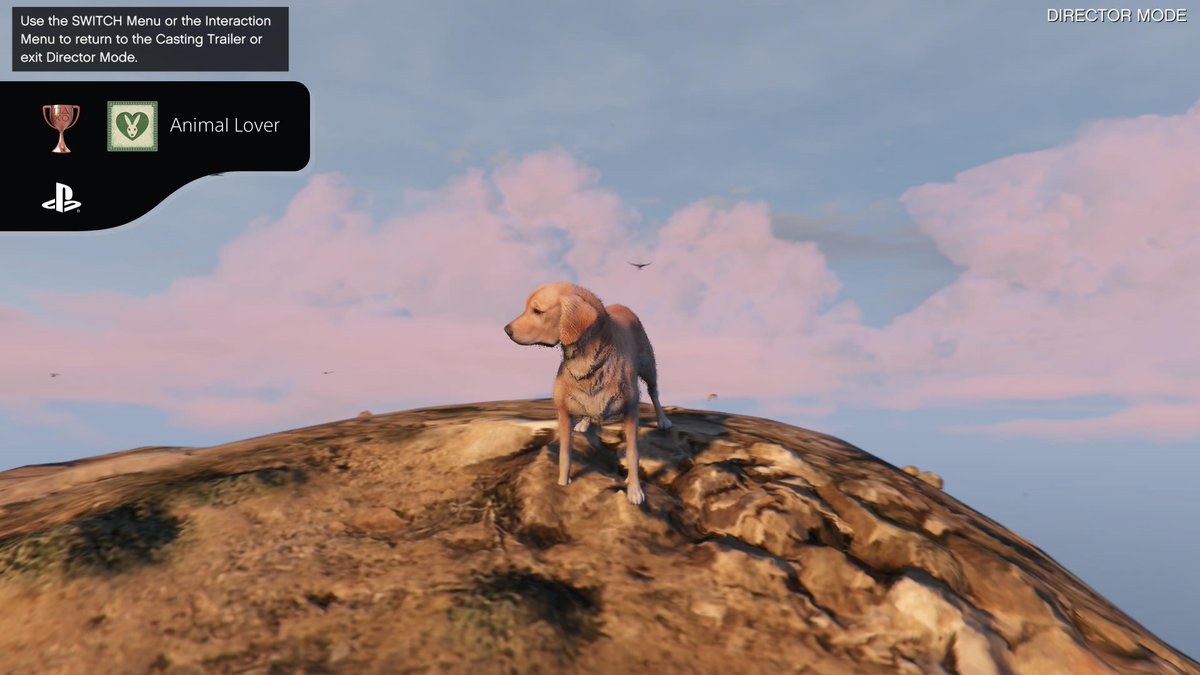 XNight_Fury's tweet photo. Grand Theft Auto V
Animal Lover (BRONZE)
#PlayStationTrophy #PS5Share, #GrandTheftAutoV https://t.co/izZlo3H88L