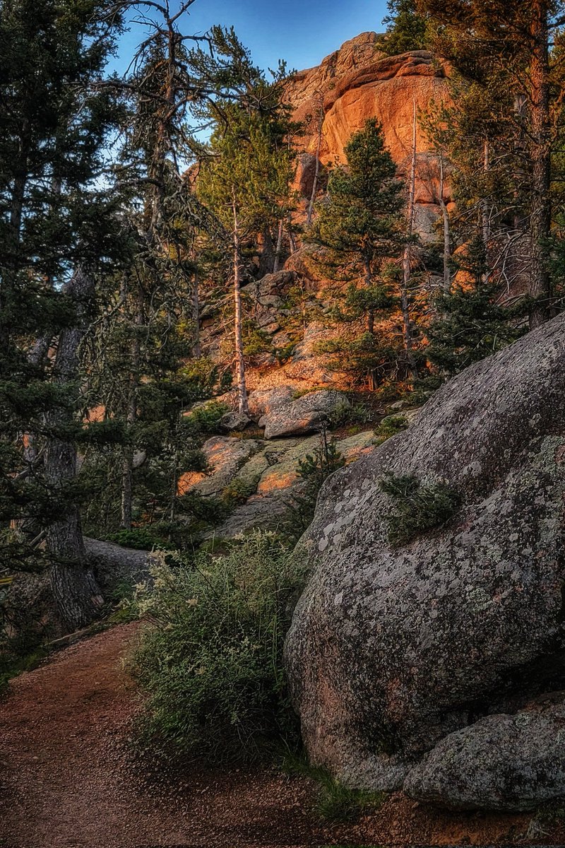 wander4insp's tweet photo. Hiking to the historic Devils Head Fire Tower.
#DevilsHead #Colorado #DenverHikes https://t.co/X4oC2NBHMn