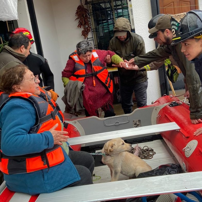 Carab_Maule's tweet photo. Carabineros de #CAUQUENES ayuda con las familias que han sufrido inundación de sus viviendas por desborde del Río #Tutuven y sus mascotas. Se reitera a vecinos la precaución ante las intensas lluvias y aguas sobre las ruta en la zona. #CarabinerosDeTodos
#OrdenyPatria https://t.co/g0erBgwllT