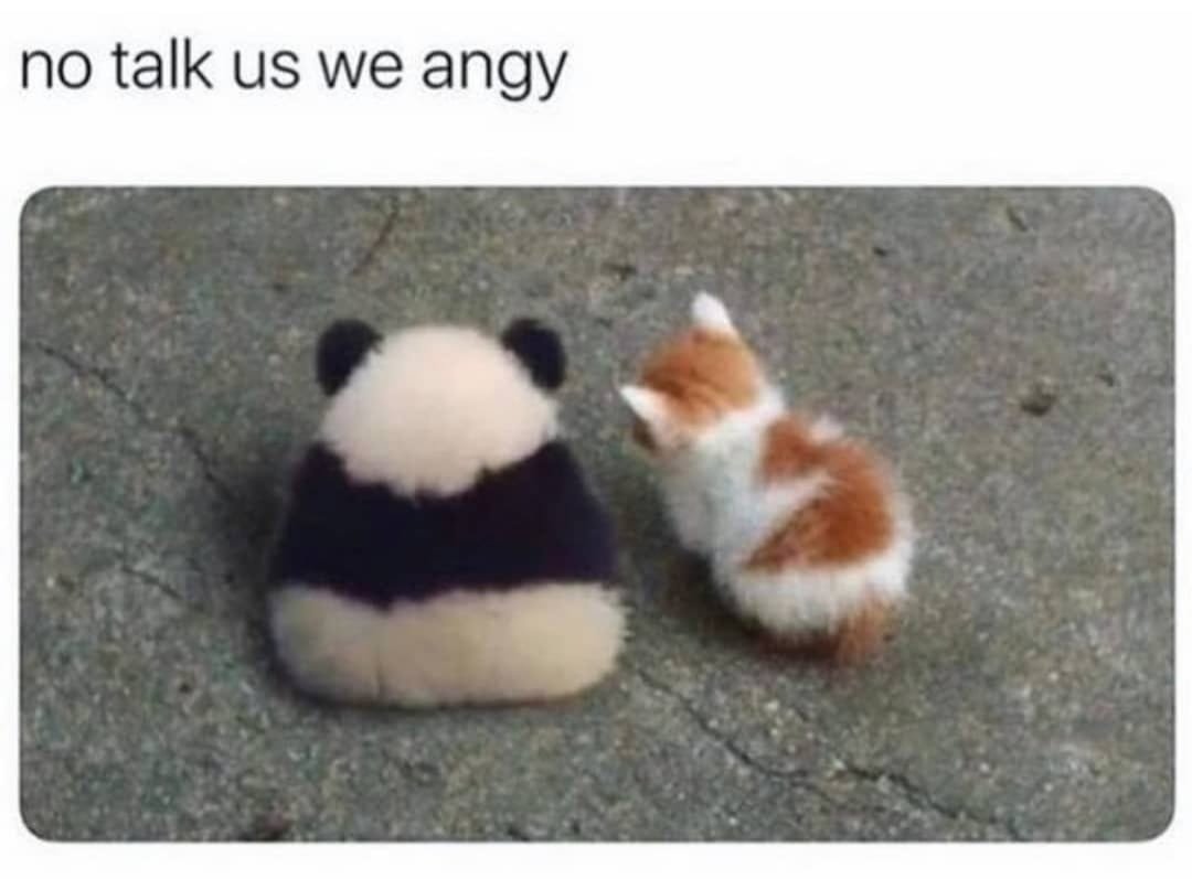 WholesomeMeme's tweet photo. https://t.co/3iaIuiCEZp