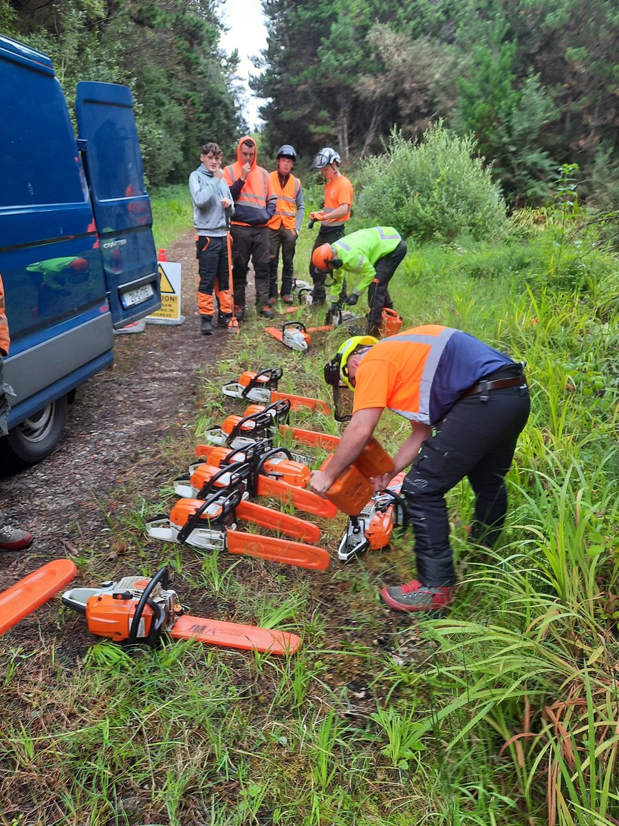 National Apprenticeship in Arboriculture (IRL) tweet media