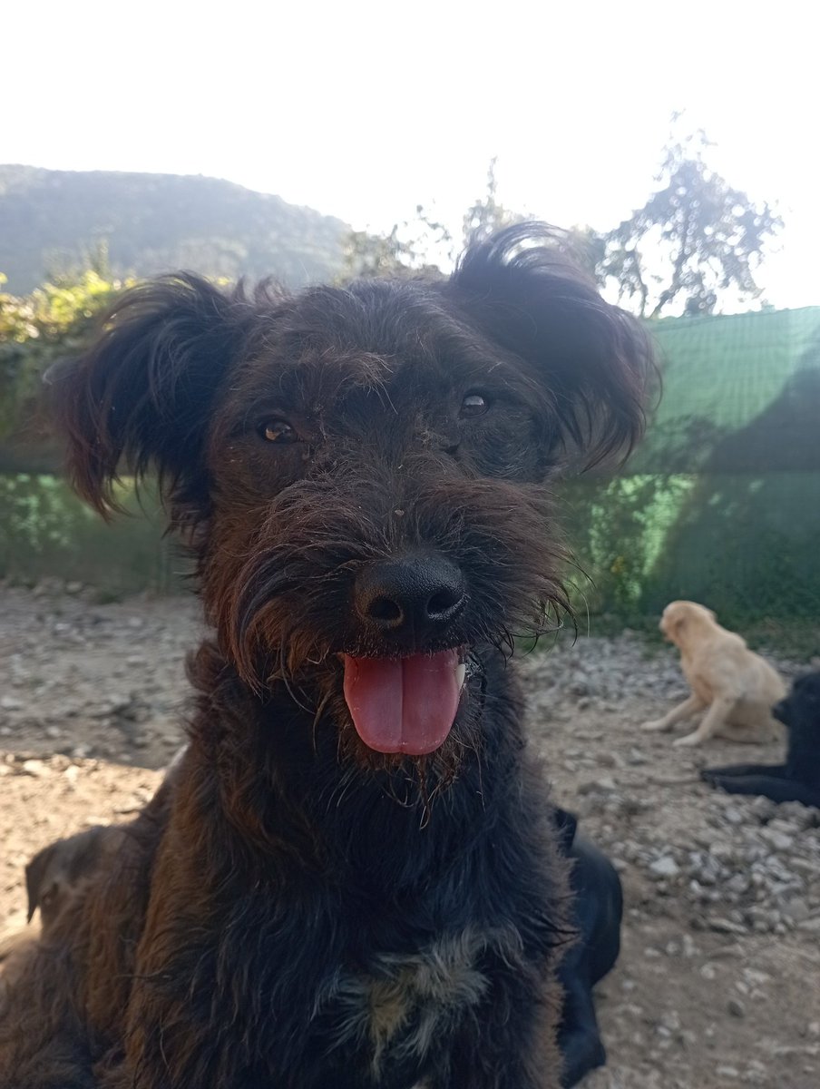 Fraser: My hair grew up and I start to look funny again but I still don't have a sponsor to cover my food :( 
If you want to sponsor me please pm/ comment