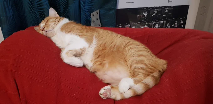 Collab blues tweet media