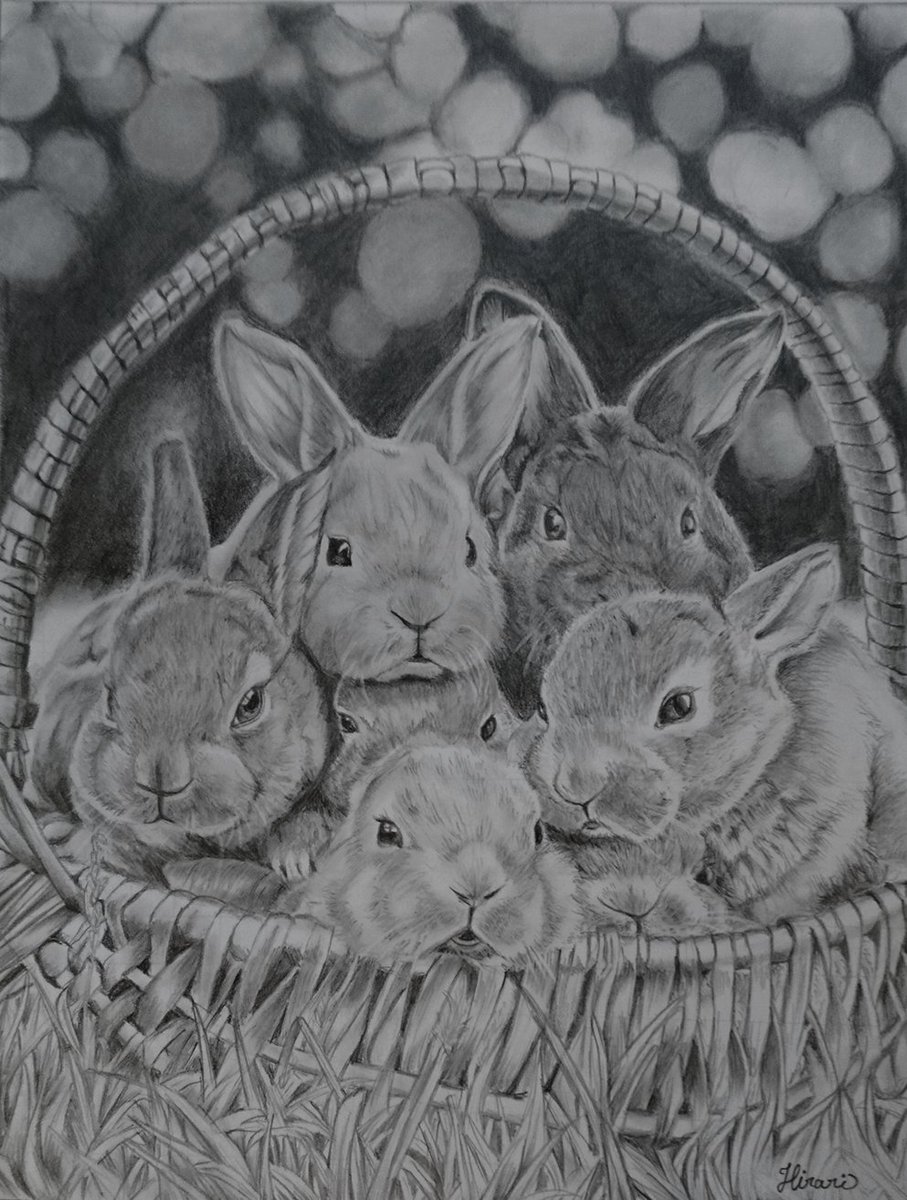 #バニーの日 
ウサギさんまとめてみました🐰 