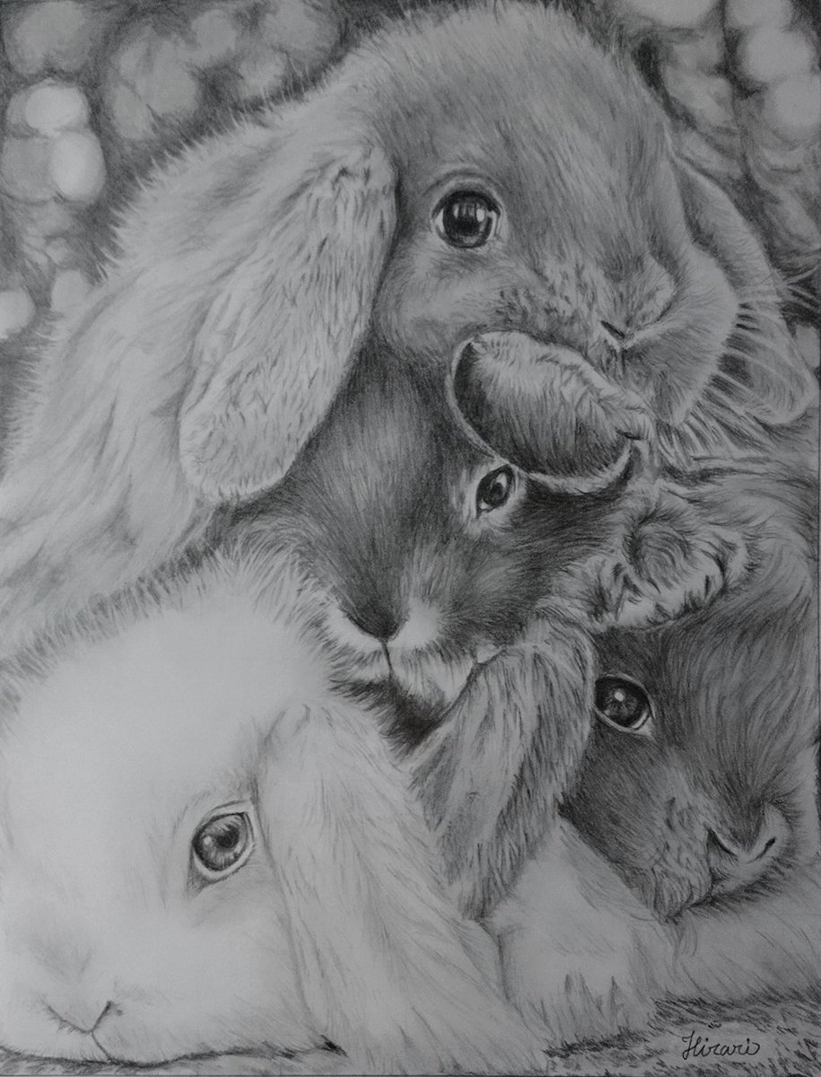 #バニーの日 
ウサギさんまとめてみました🐰 