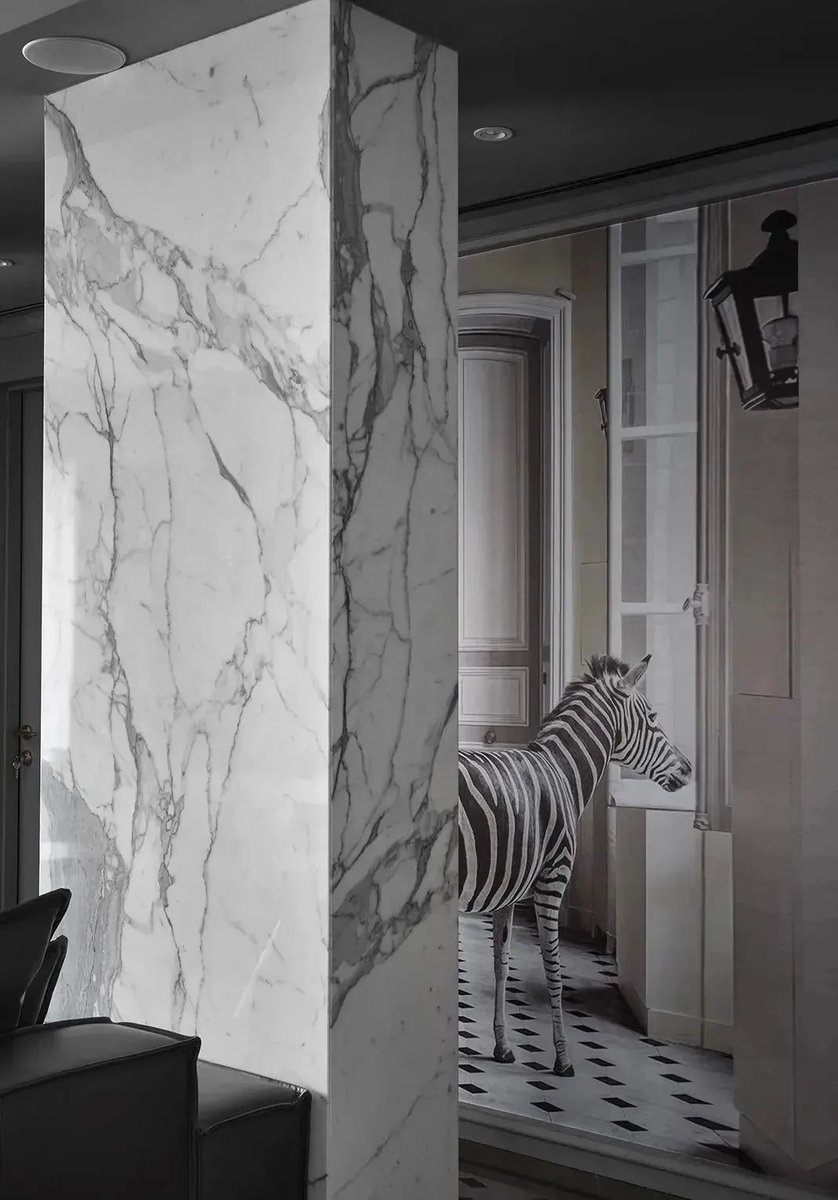 PAIA_Cathy's tweet photo. 2023 the most popular 6 white marble
#whitemarble #bathroomdesign #whitemarble #whitemarblebathroom #kitchendesign #whitewalltiles #whitemarbleslab #modernkitchen #hotelroomdesign #modernkitchendesign #luxurymarble #Volaks #whitemarblemosaic 
https://t.co/xtDitZnnjU https://t.co/Zd16JNv9Jn