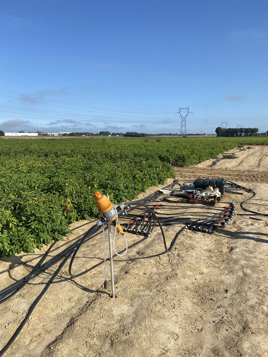 CMOnord's tweet photo. Passage sur essai fertigation 🥔 dans la Somme
Modalité ferti azotée nitrate de calcium soluble #calcinit a donné d’excellent résultats en 2022 … récolte dans quelques semaines pour confirmer 😉 https://t.co/HIusllJaFN