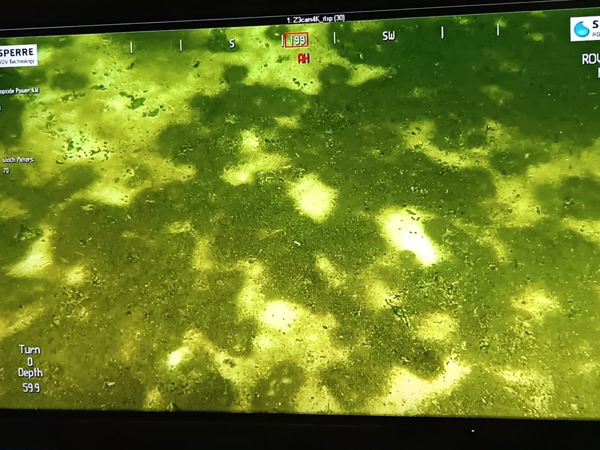 ArcticSgd's tweet photo. Survey of the seafloor of the Gulf of Finland by remotely operated vehicle (ROV). Beata Szymczycha, Przemysław Makuch and Aivo Lepland #EEANorwayGrants #ncn #sgd #ArcticSGD #IOPAN #arctic #submarinegroundwaterdischarge #todaywehave https://t.co/Z0jctP5viV