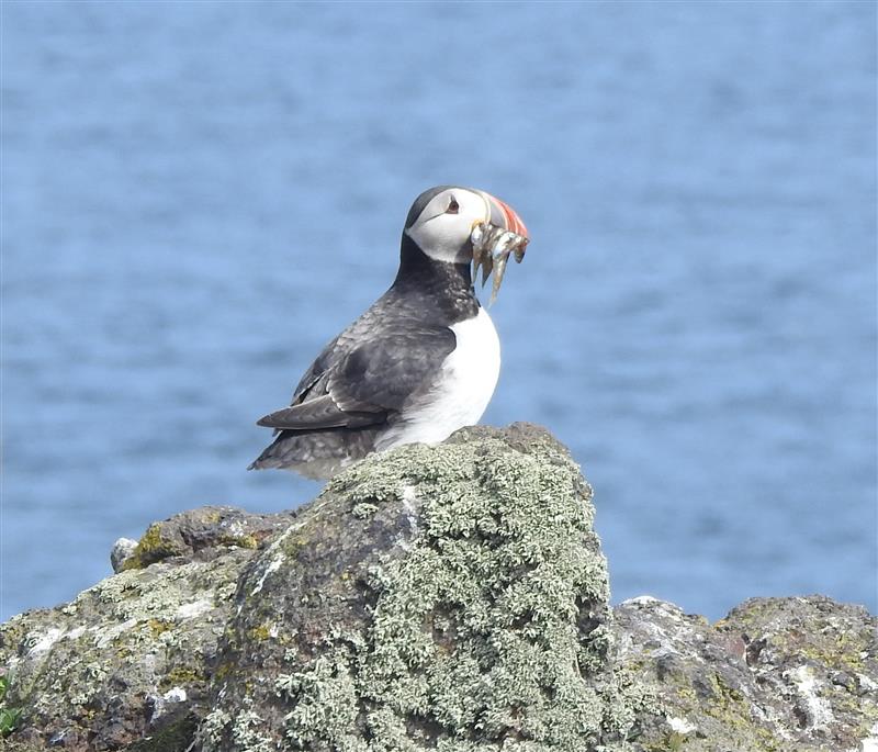NatureScotSouth tweet media