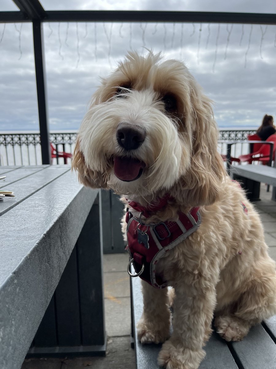 Happy Monday pals. Enjoying a break and coffee this morning with mum 😊