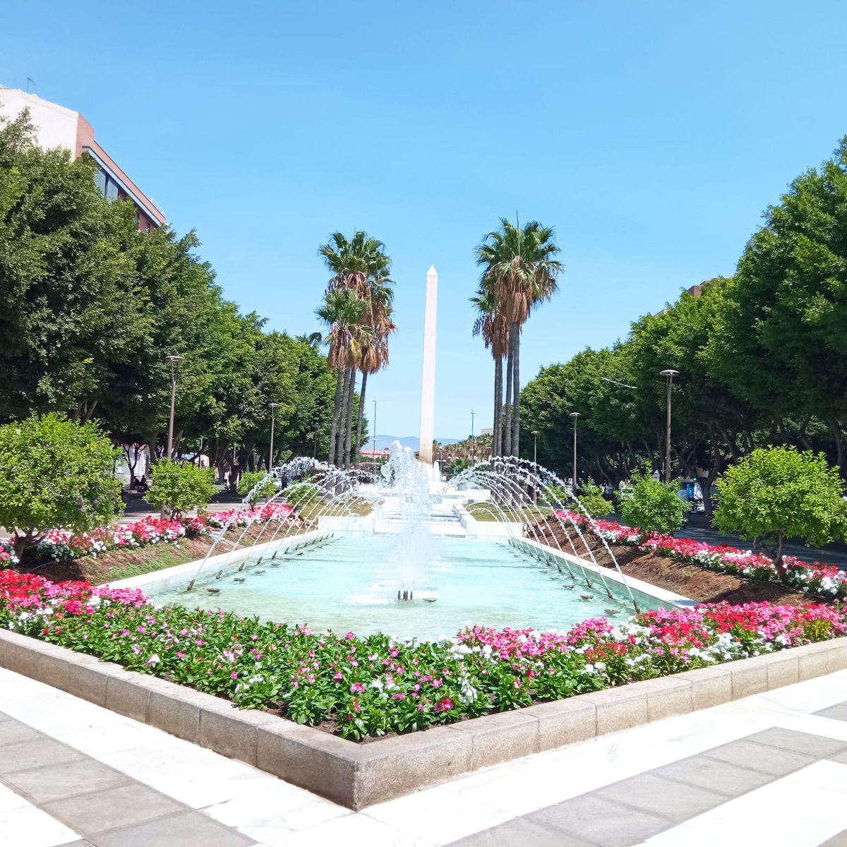JardinesAlmeria's tweet photo. 🪷🌼🌺 Color, color y más color.
La ornamentación floral de la ciudad a con motivo de la #FeriadeAlmería nos deja multitud de rincones tan coloridos como los de estas fotos. Hay mucho más, descúbrelos.
@aytoalm #ParquesyJardines #JardinesdeAlmería 🏰🌴 #PlanBotania 🌿 https://t.co/sYGyHt50l4